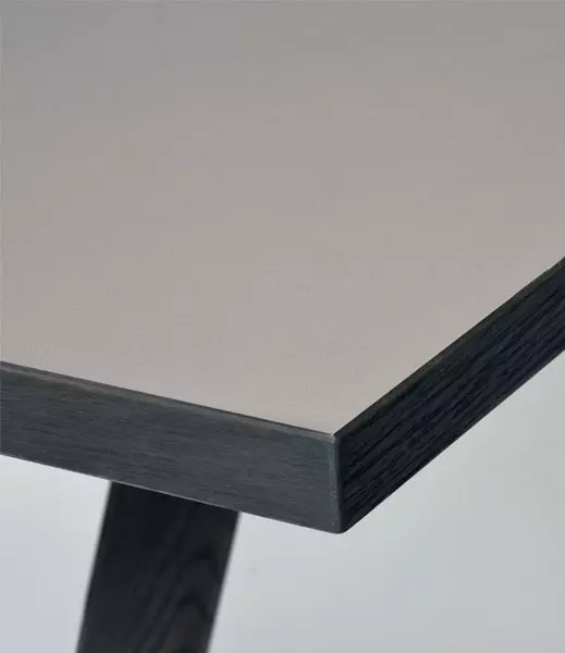 Castelijn TXS 04 detail tafel eetkamertafel materiaal fineer vanderlindeinterieur