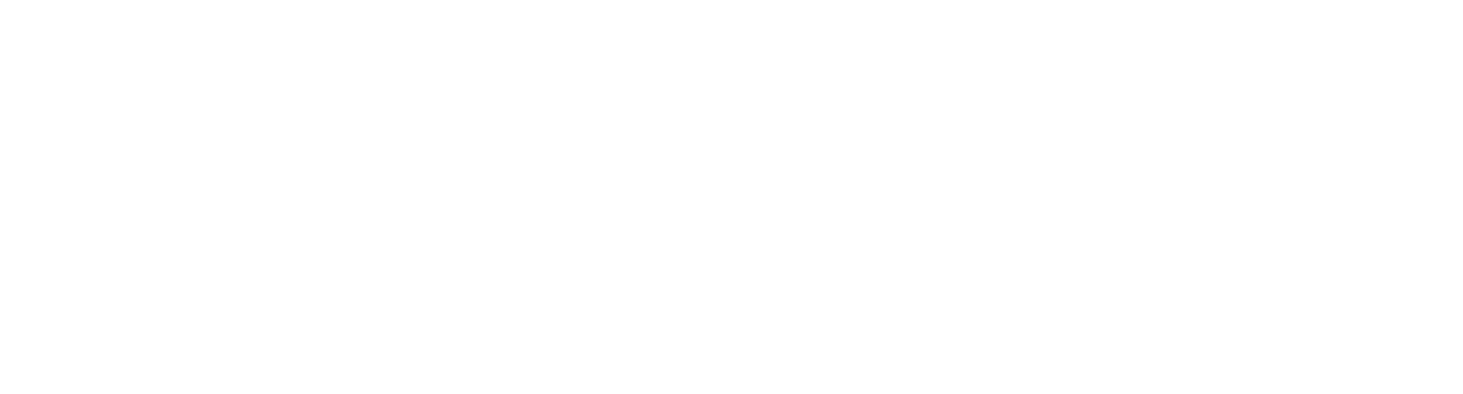 Logo Interstar wit